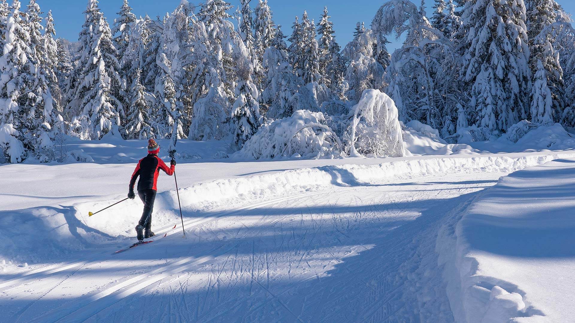 Langlaufen im Meranerland