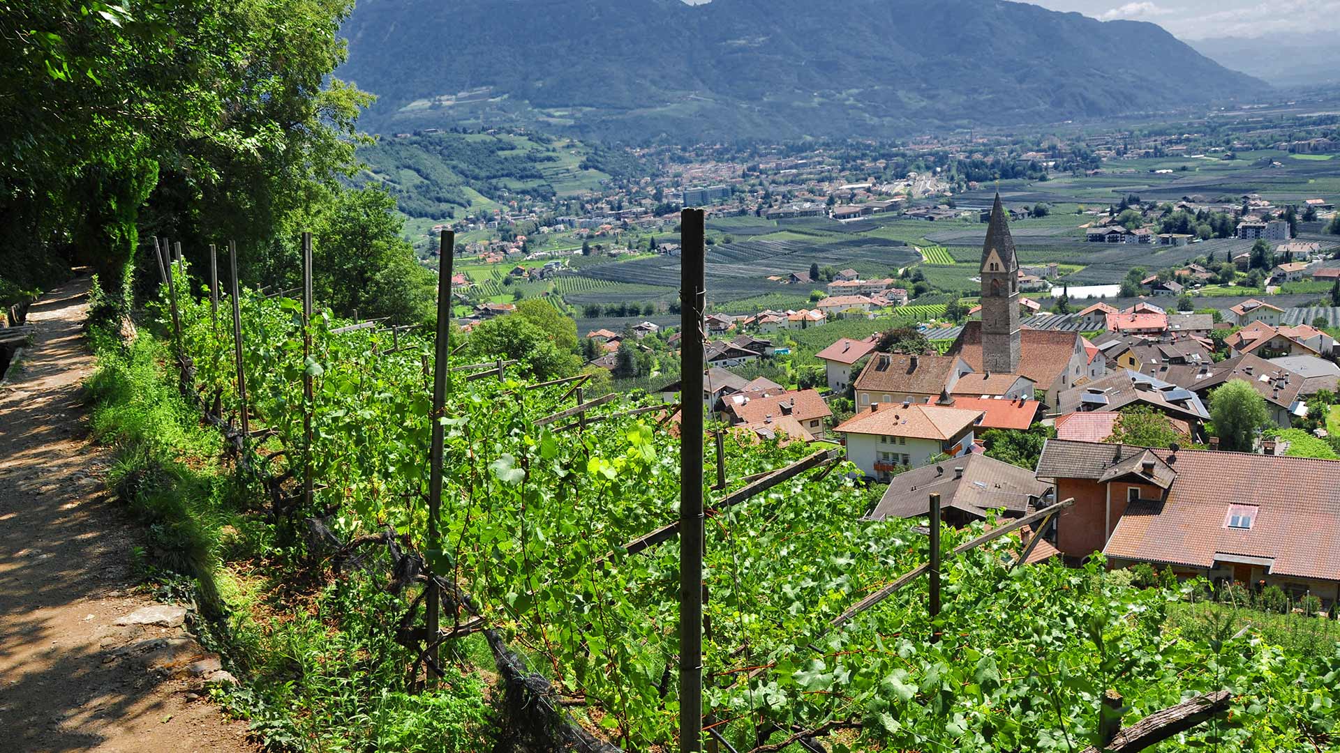 Waalweg in Algund, Meran und Umgebung