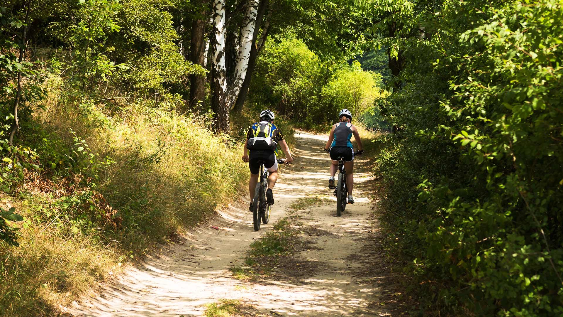 Radtour zur Laugenalm