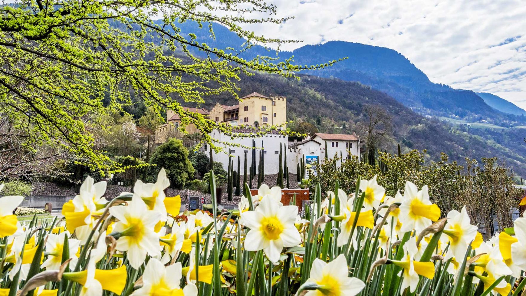 Die Gärten von Schloss Trauttmansdorff in der Jahreszeit Frühling